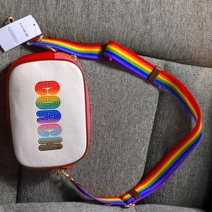 Coach Rainbow bag